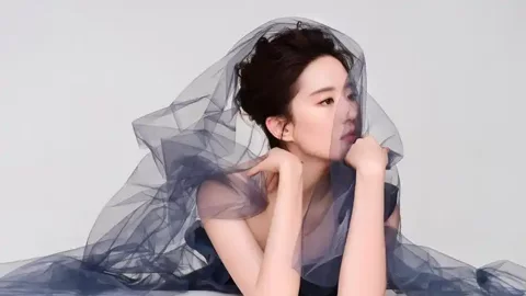 狄龙詹姆斯冲突驱逐案