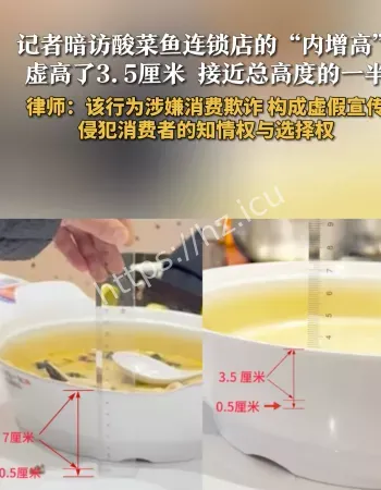 酸菜鱼连锁店