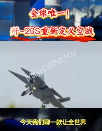 双座隐身战机